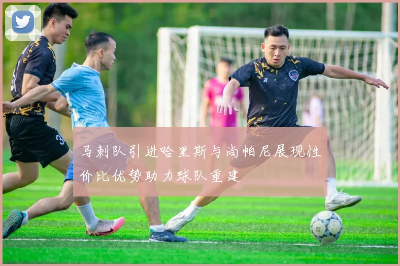 马刺队引进哈里斯与尚帕尼展现性价比优势助力球队重建